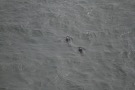 Missing Picture